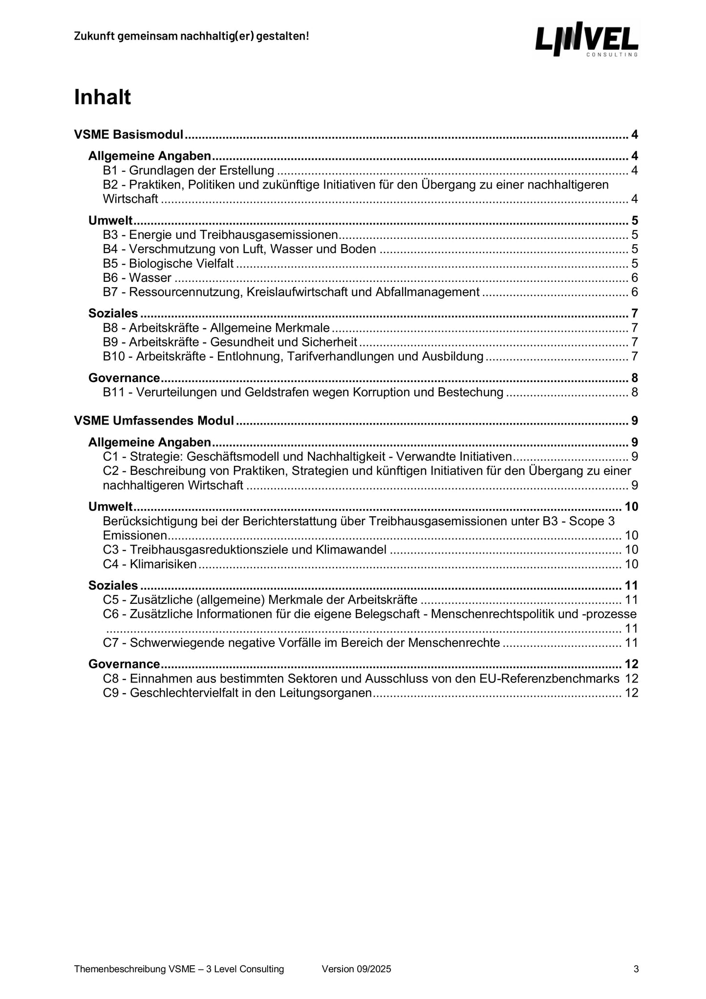 VSME Themenbeschreibung