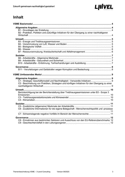 VSME Themenbeschreibung