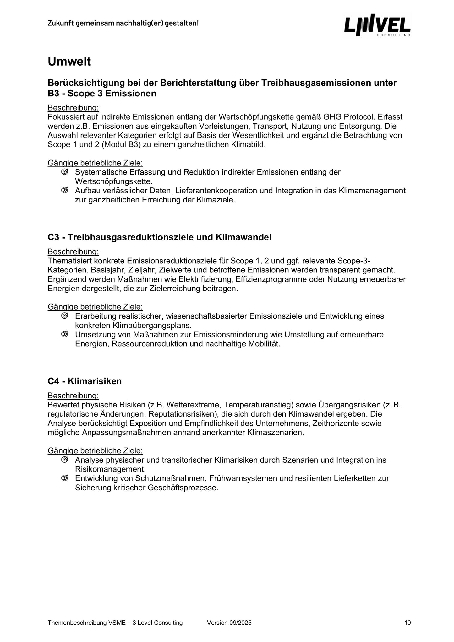 VSME Themenbeschreibung