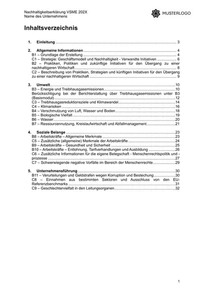 VSME Bericht – Vorlage