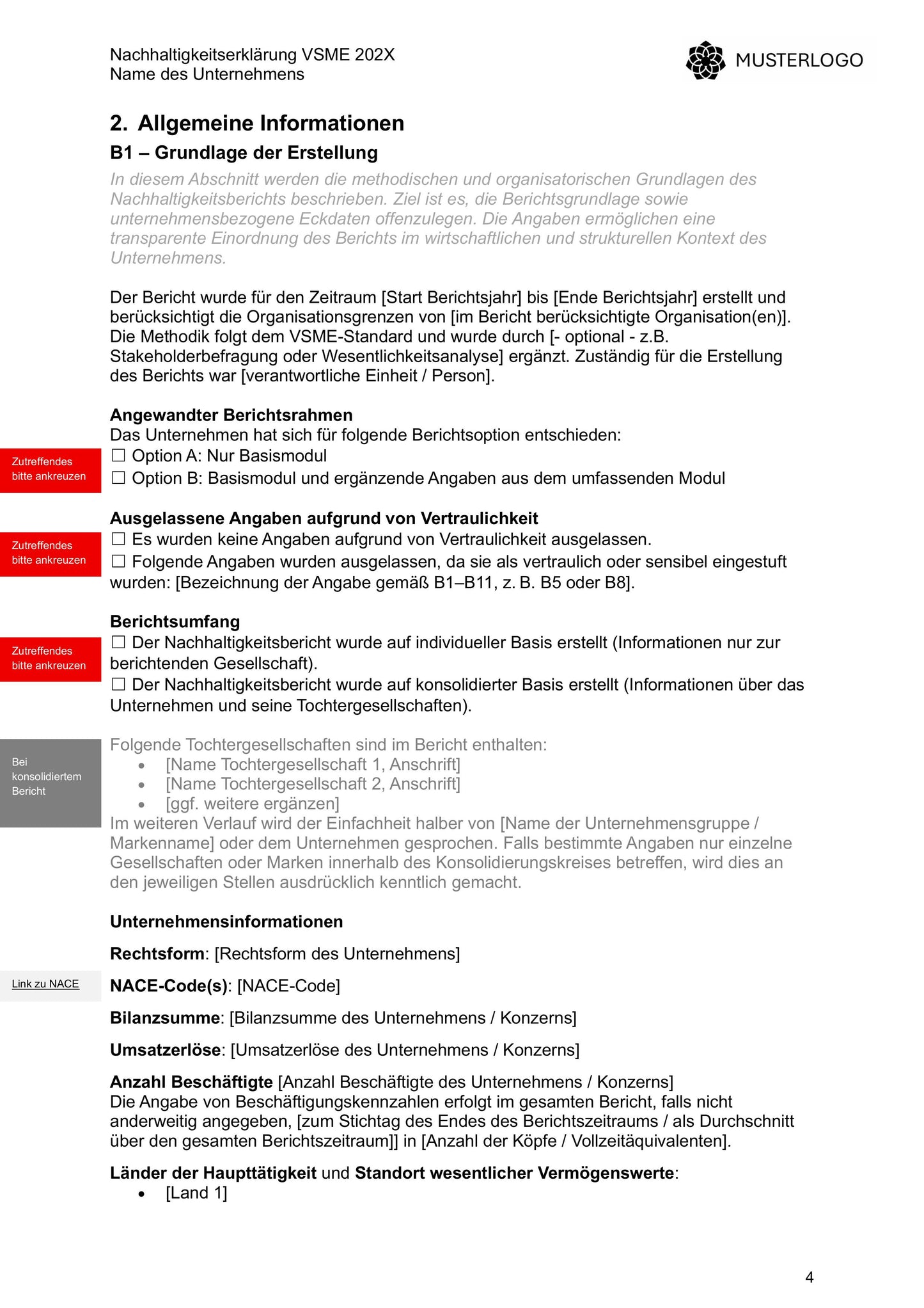 VSME Bericht – Vorlage