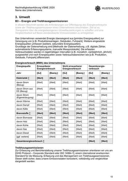 VSME Bericht – Vorlage