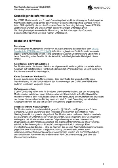 VSME Bericht – Vorlage